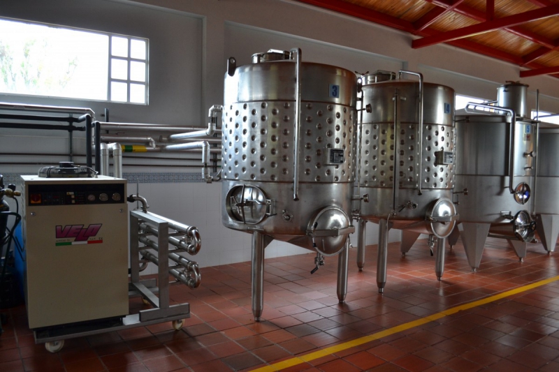 cave-VINS SUR CARAMY-min_wine_production_cantine_winery_drink_alcohol_vine_beverage-902036